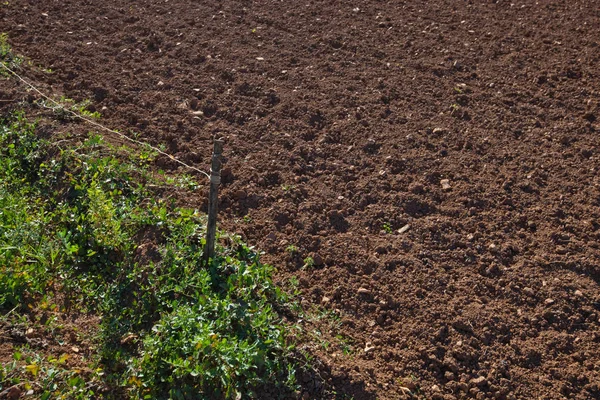 Campo agrícola arado — Foto de Stock