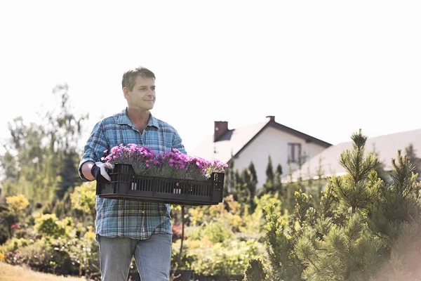 Gardener carrying crate of flower pots