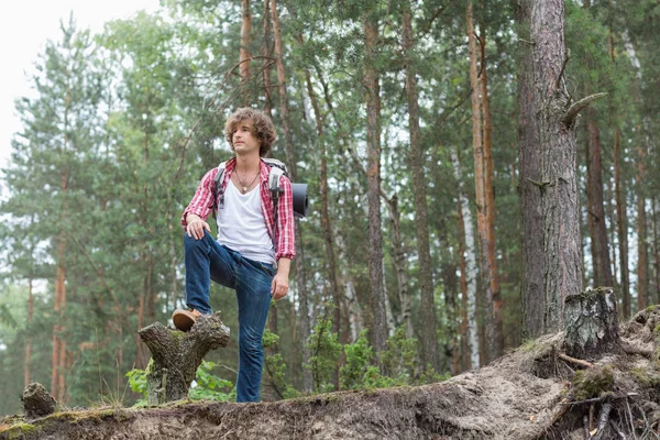 Männlicher Backpacker steht im Wald — Stockfoto