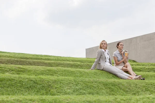 Business executives sitting on grass — Stock Photo, Image