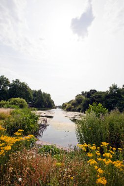 Nehir ile güzel park