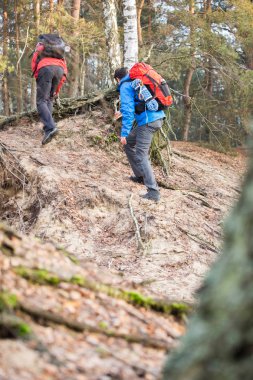 Ormanda hiking backpackers