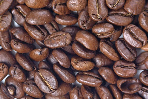 Coffee grains background — Stock Photo, Image
