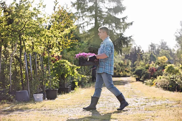 Jardinier portant la caisse de pots de fleurs — Photo