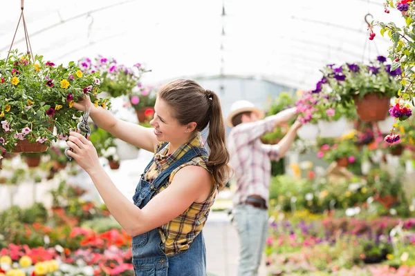 Kvinnlig trädgårdsmästare trimning växter — Stockfoto