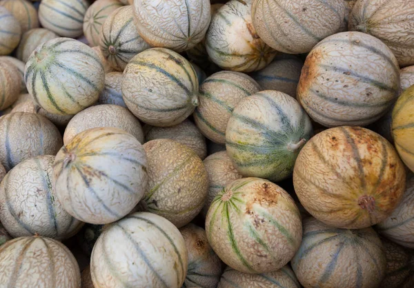 Fresh melons in market — Stock Photo, Image