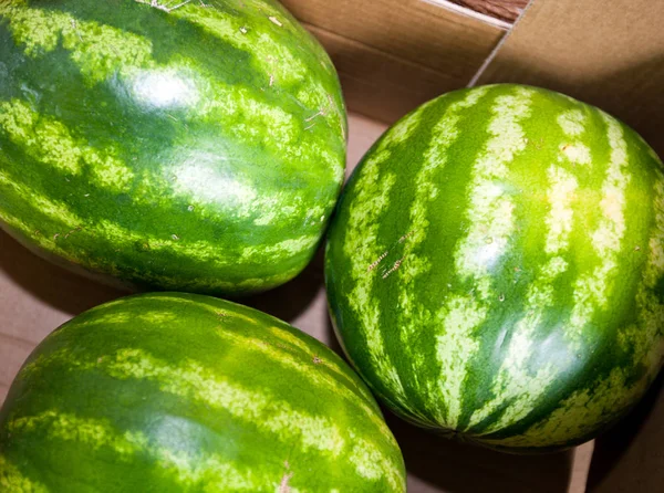 Watermeloenen in supermarkt — Stockfoto