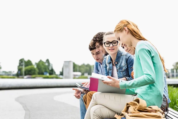 Students studying at park — Stock Photo, Image