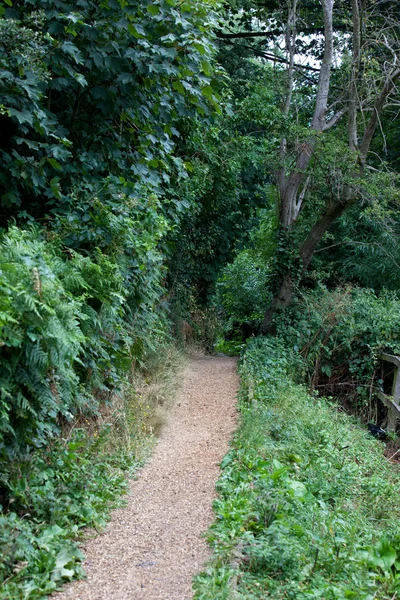 Voie dans la campagne britannique — Photo