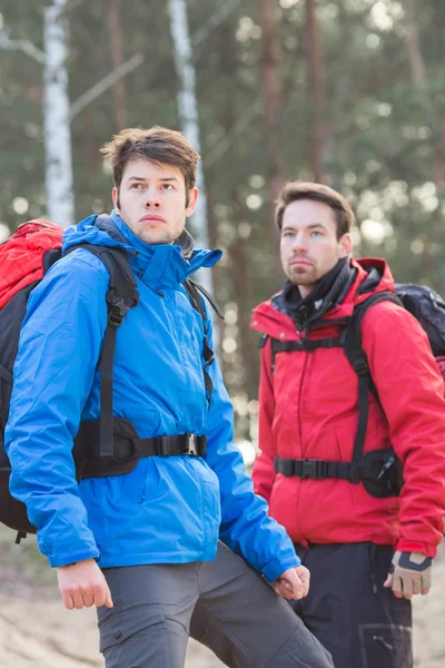 Männliche Wanderer im Wald — Stockfoto