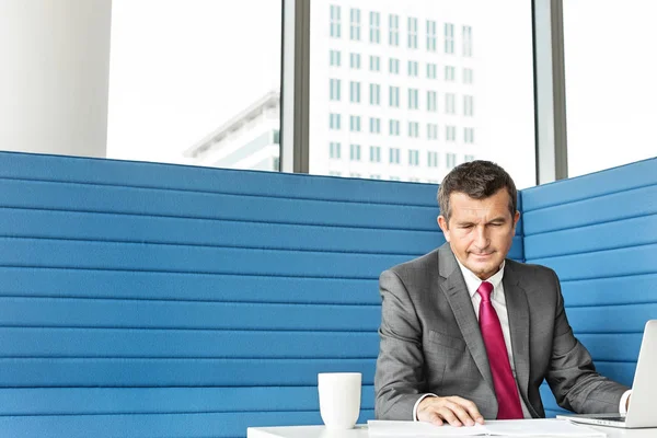 Volwassen zakenman met behulp van laptop — Stockfoto