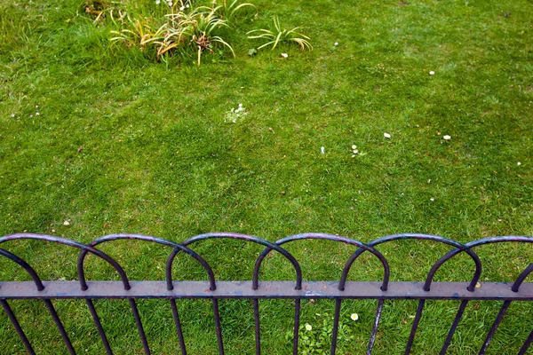 Grass behind small fence — Stock Photo, Image
