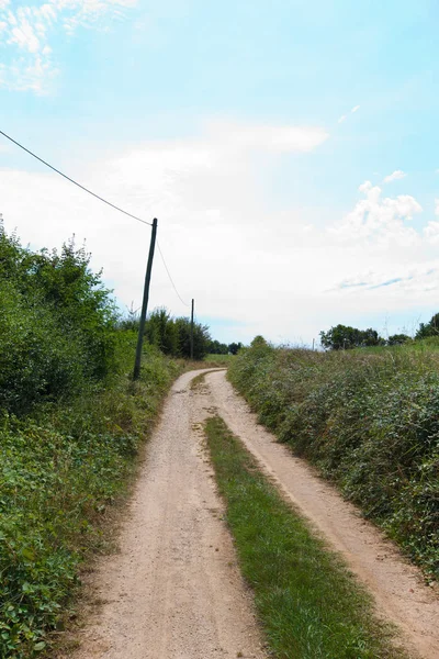 Unbefestigte Straße inmitten von Pflanzen — Stockfoto