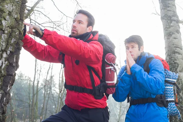 Randonneurs explorant le tronc d'arbre — Photo