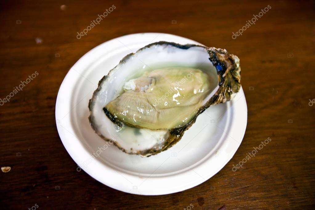 Oyster on white plate