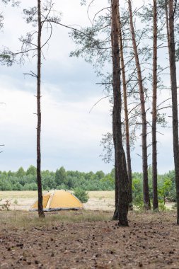 ormandaki sarı çadır