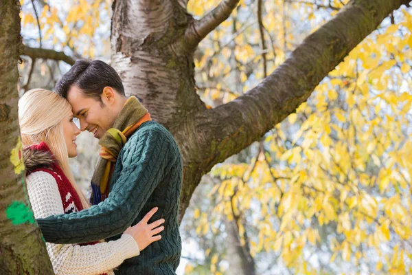 情侣拥抱在秋天一棵树附近 — 图库照片