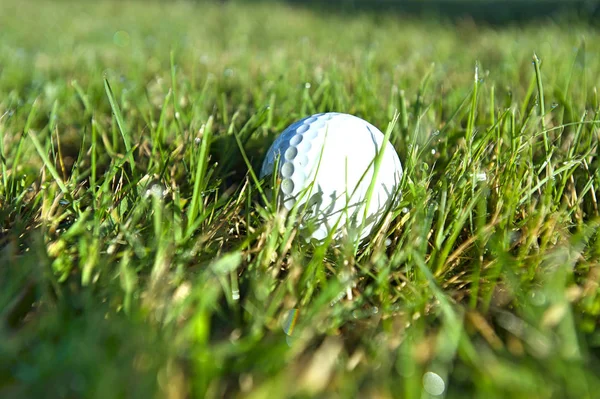 Bola de golfe na grama molhada — Fotografia de Stock