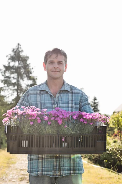 Человек, несущий ящик с цветочными горшками — стоковое фото