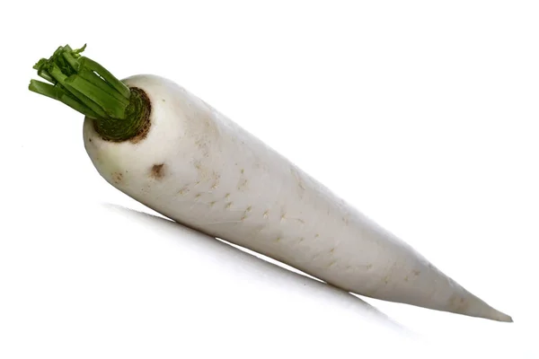 Fresh white radish — Stock Photo, Image