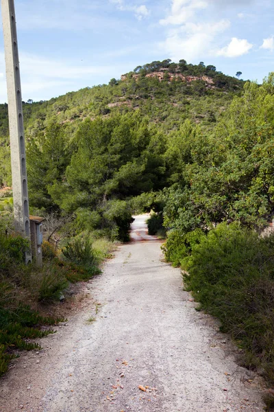 Doğal kırsal yol — Stok fotoğraf