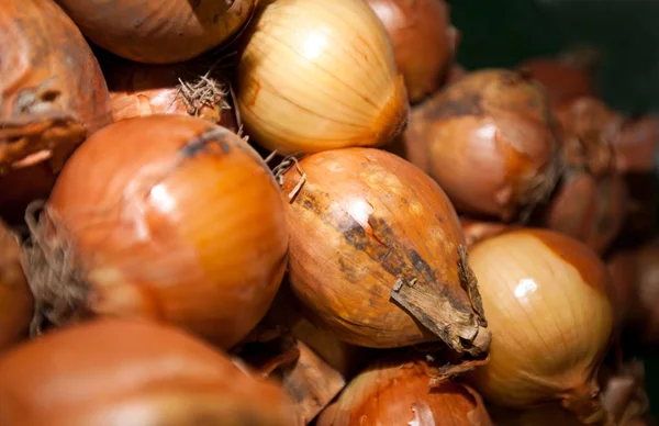 Oignons frais au supermarché — Photo