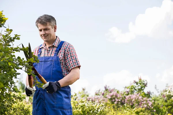 Gardener cutting branches — Stock Photo, Image