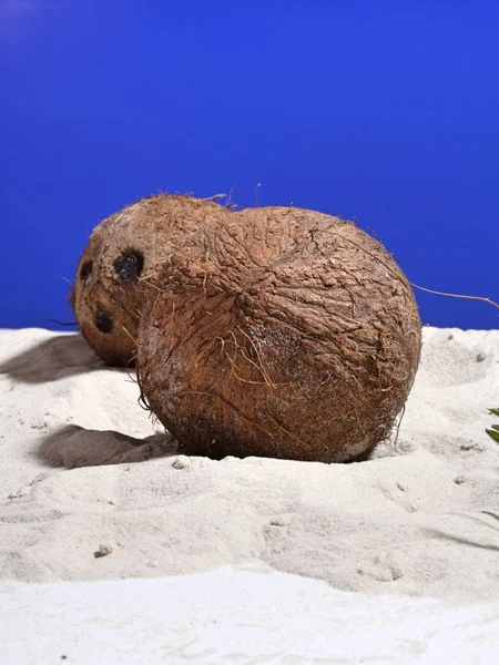 Coconuts on white sand — Stock Photo, Image