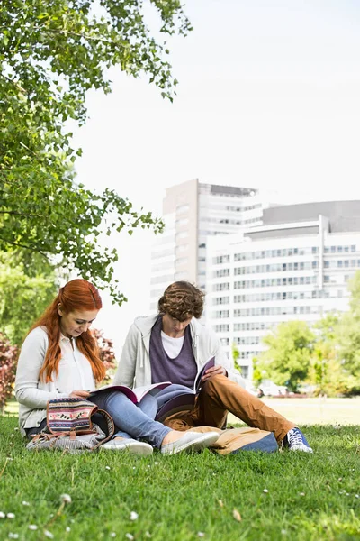 Amigos masculinos e femininos estudando — Fotografia de Stock