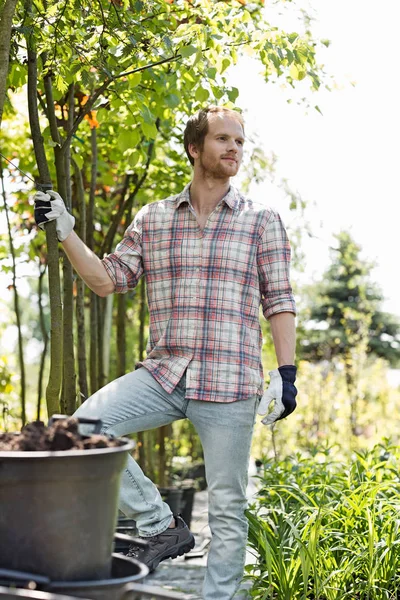 Садовник мужского пола в питомнике — стоковое фото