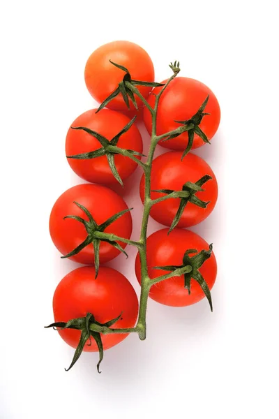 Fresh ripe cherry tomatoes — Stock Photo, Image