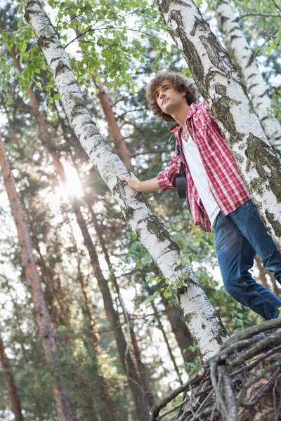 Manliga hiker stående i skogen — Stockfoto