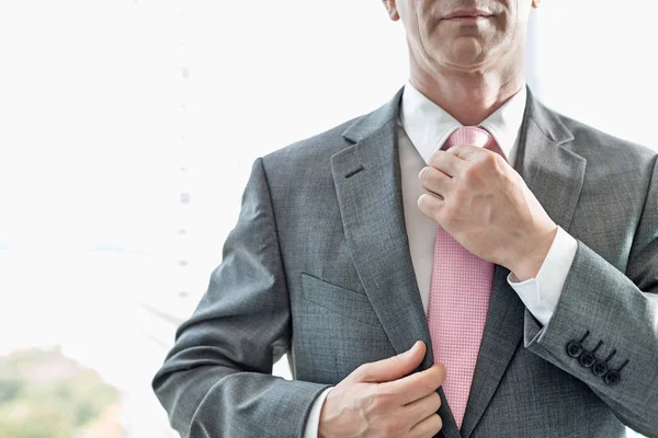 Uomo d'affari regolazione cravatta — Foto Stock