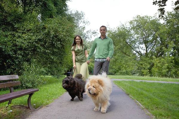 Couple marchant avec des chiens — Photo