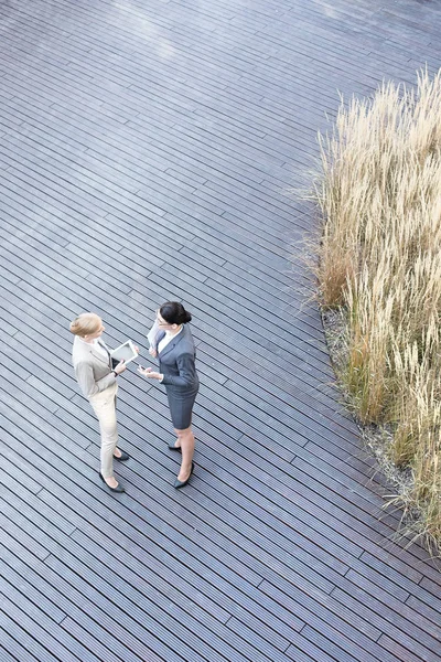 Businesswomen discussing on floorboard — Stock Photo, Image