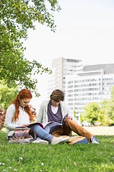 Male and female friends studying Royalty Free Stock Images