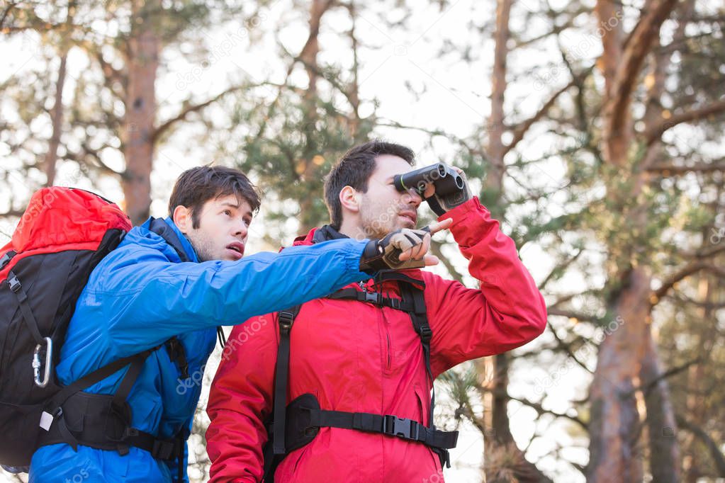 Hikers using binoculars