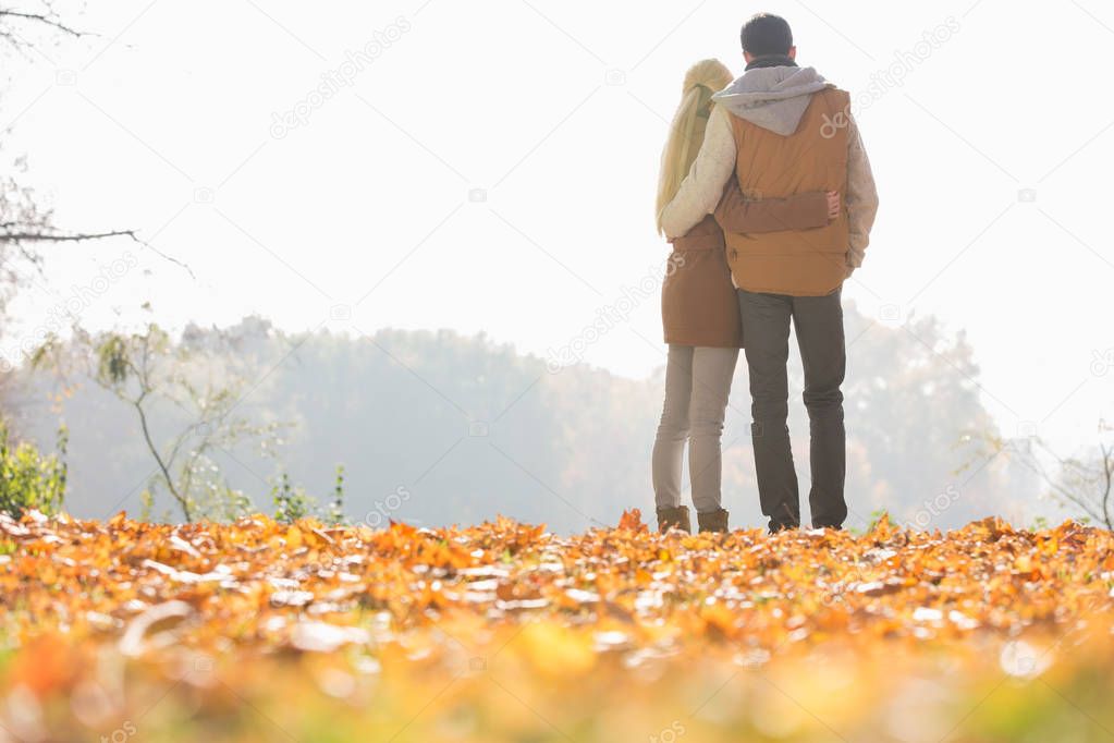 couple looking at view in park