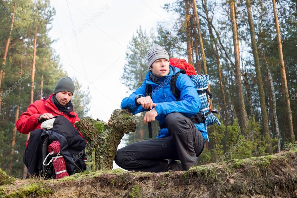 Male hikers in forest