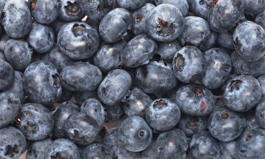 lezzetli olgun böğürtlen