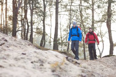 Ormanda hiking backpackers