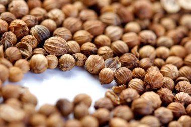 Aromatik hardal taneleri