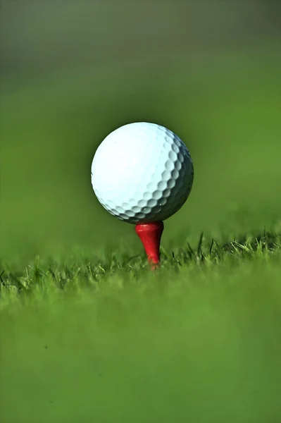 Pelota de golf en T —  Fotos de Stock