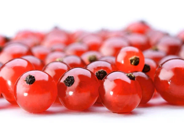 Fresh red currants — Stock Photo, Image