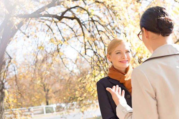 Businesswomen conversing at park — Stock Photo, Image