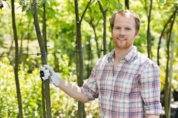 Smiling gardener at plant nursery — Stock Photo, Image