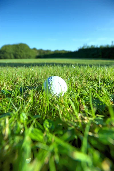 Bola de golfe na grama molhada — Fotografia de Stock