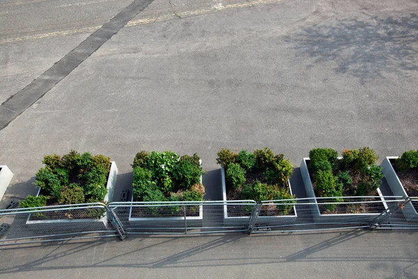 Urban flower buckets — Stock Photo, Image