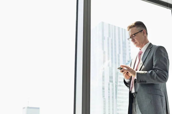 Mature businessman using cell phone — Stock Photo, Image