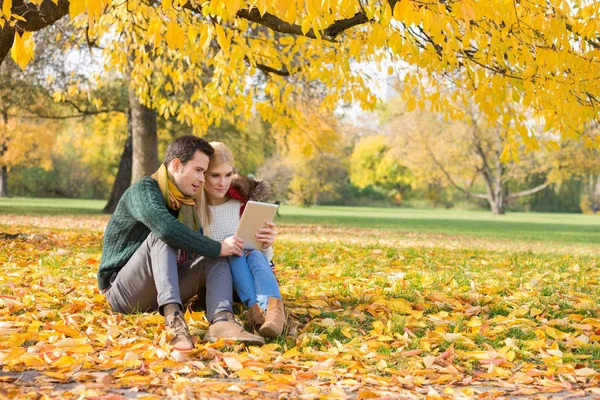 Pareja usando la tableta PC en el parque — Foto de Stock